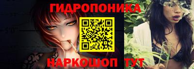 шишки Новозыбков