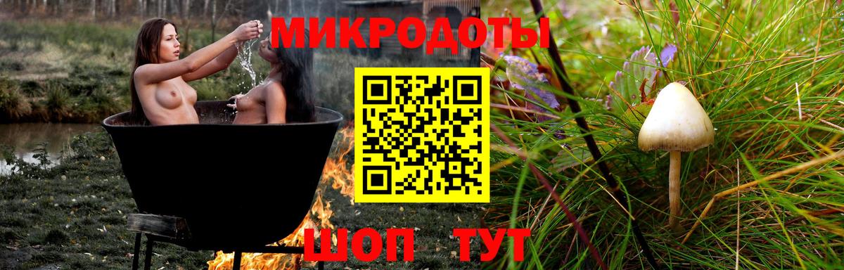 Галлюциногенные грибы Psilocybe  Галлюциногенные грибы ЛСД  Вход с VPN  Тайшет 