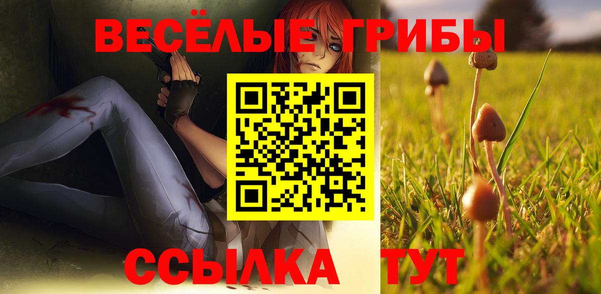 Галлюциногенные грибы мицелий Тайшет
